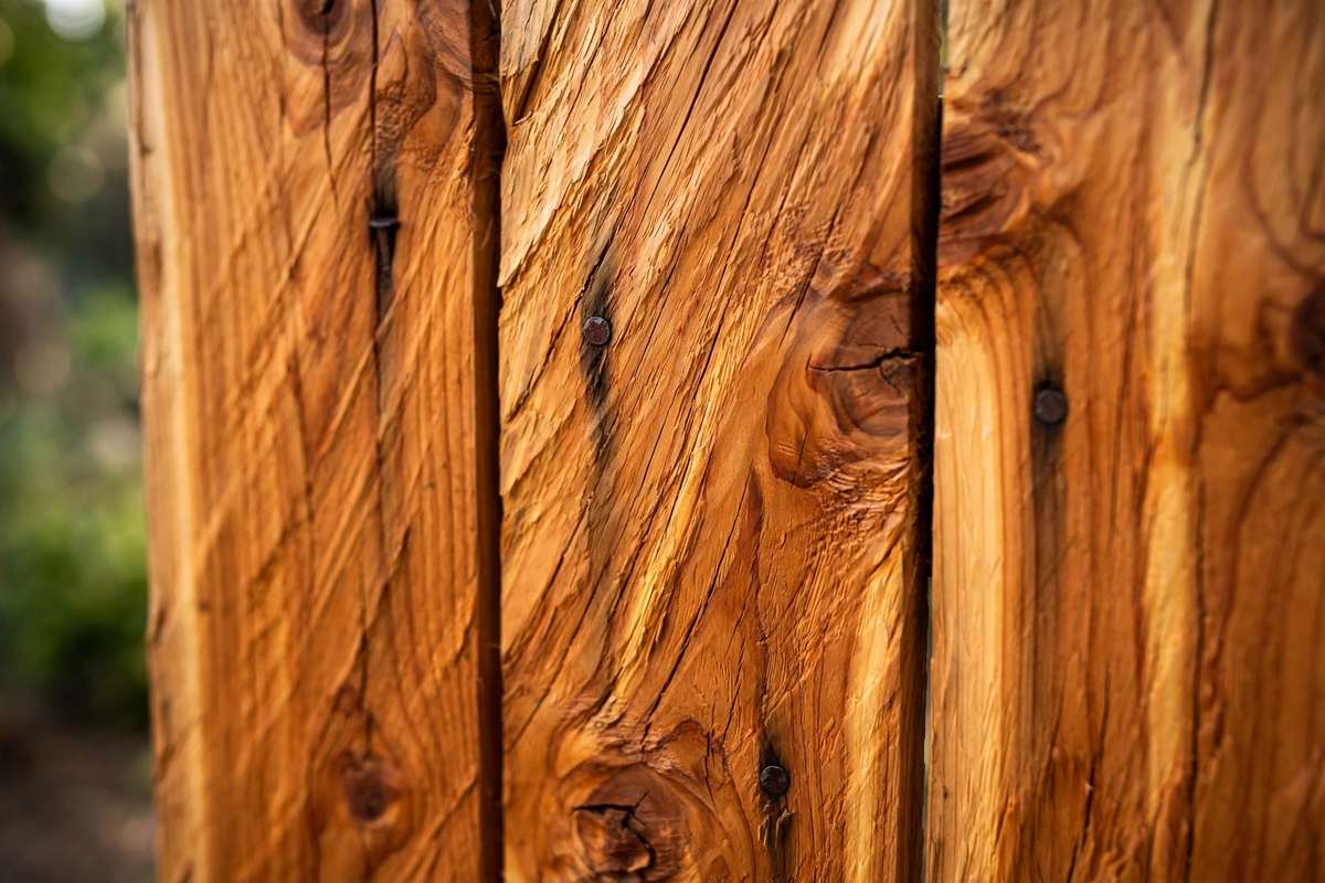 Close-up of cedar fence boards showing wood grain and knots